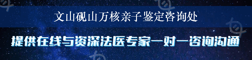 文山砚山万核亲子鉴定咨询处